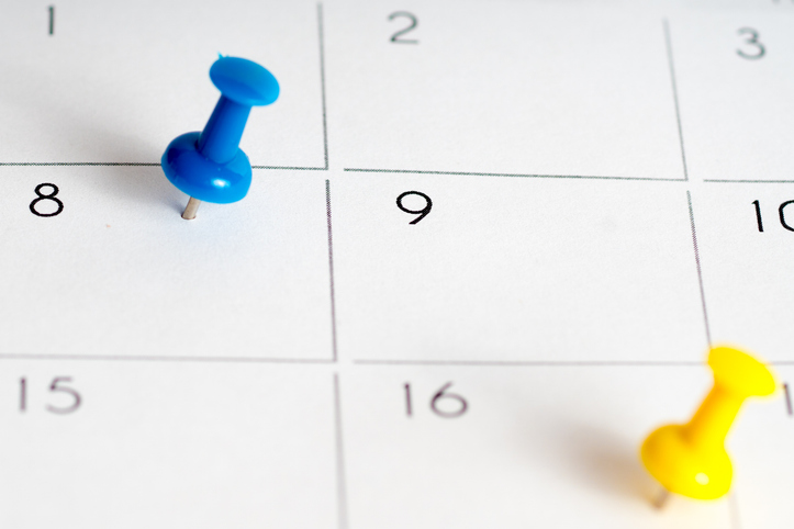 Calendar with Pins