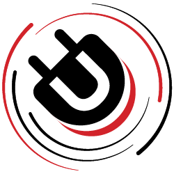 Demography Unplugged Logo